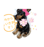 H ey！Tina！2日本語version（個別スタンプ：3）