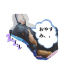 H ey！Tina！2日本語version（個別スタンプ：6）