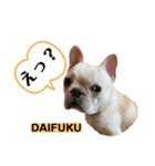 DAIFUKU  LOVE2（個別スタンプ：2）