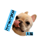 DAIFUKU  LOVE2（個別スタンプ：6）