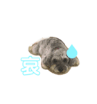 こんにちはシュガーです（個別スタンプ：2）