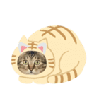うちのミィーちゃん（個別スタンプ：5）