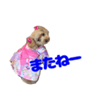 私のワンコ〜（個別スタンプ：1）
