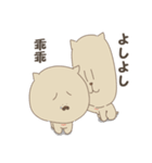 こしばとはなちゃん（個別スタンプ：21）