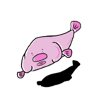 いつでもどこでも深海魚（個別スタンプ：4）