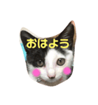 私はみいこ（個別スタンプ：1）