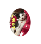 私はみいこ（個別スタンプ：6）