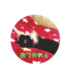 私はみいこ（個別スタンプ：7）