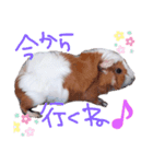 ゆるもる姫子Part2（個別スタンプ：3）