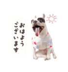 ここあスタンプbyKumicco（個別スタンプ：1）