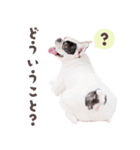 ここあスタンプbyKumicco（個別スタンプ：5）