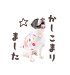 ここあスタンプbyKumicco（個別スタンプ：6）