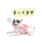 ここあスタンプbyKumicco（個別スタンプ：8）
