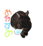 mokostory（個別スタンプ：8）