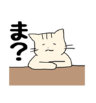 ラフなネコ（個別スタンプ：1）