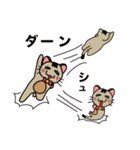 オモロイ猫ちゃん。（個別スタンプ：7）
