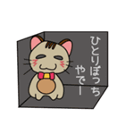 オモロイ猫ちゃん。（個別スタンプ：8）