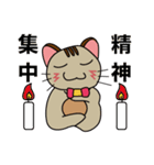 オモロイ猫ちゃん。（個別スタンプ：11）