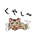 オモロイ猫ちゃん。（個別スタンプ：12）