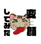 オモロイ猫ちゃん。（個別スタンプ：29）