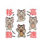オモロイ猫ちゃん。（個別スタンプ：30）