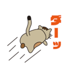 オモロイ猫ちゃん。（個別スタンプ：39）