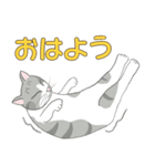 Kitten LATTE(日本語）（個別スタンプ：1）