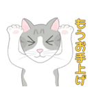 Kitten LATTE(日本語）（個別スタンプ：8）