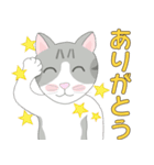 Kitten LATTE(日本語）（個別スタンプ：9）