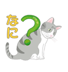 Kitten LATTE(日本語）（個別スタンプ：13）