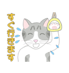 Kitten LATTE(日本語）（個別スタンプ：19）