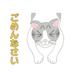 Kitten LATTE(日本語）（個別スタンプ：23）