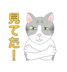 Kitten LATTE(日本語）（個別スタンプ：25）