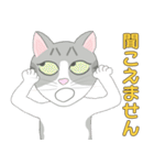 Kitten LATTE(日本語）（個別スタンプ：29）