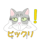 Kitten LATTE(日本語）（個別スタンプ：30）