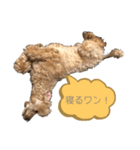 ぷーのモンブ（個別スタンプ：6）