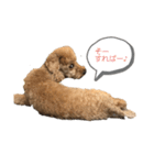 ぷーのモンブ（個別スタンプ：8）