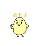 にわとり一家の伊予弁 日常語（個別スタンプ：1）