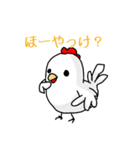 にわとり一家の伊予弁 日常語（個別スタンプ：21）