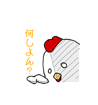 にわとり一家の伊予弁 日常語（個別スタンプ：29）