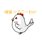 にわとり一家の伊予弁 日常語（個別スタンプ：30）