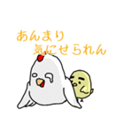 にわとり一家の伊予弁 日常語（個別スタンプ：33）