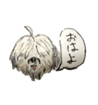 コロちゃま（個別スタンプ：1）