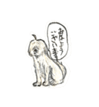 コロちゃま（個別スタンプ：2）