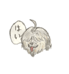 コロちゃま（個別スタンプ：7）