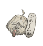 コロちゃま（個別スタンプ：12）
