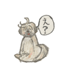 コロちゃま（個別スタンプ：24）
