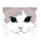 友達ん家の猫がかわいい。（個別スタンプ：16）