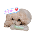 ベルちゃん②（個別スタンプ：5）