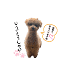 ベルちゃん②（個別スタンプ：7）